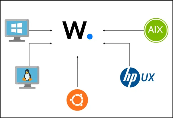 بنية Wazuh Manager and Agents